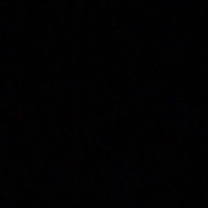 Meet your Posher, Zoey